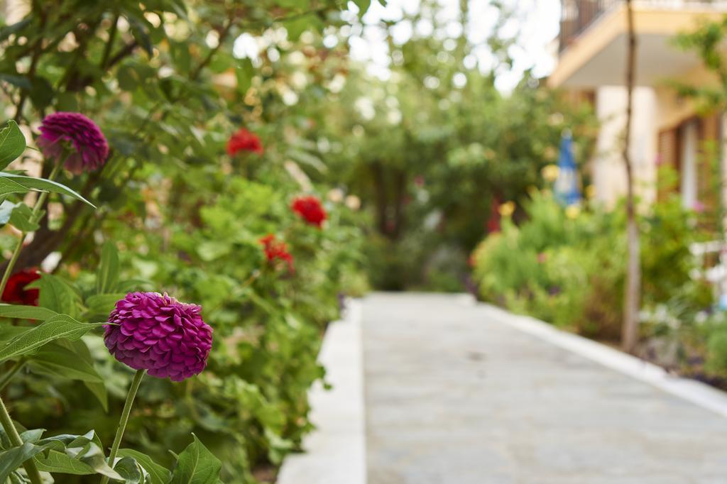 Christinantzela Apartments コッカリ エクステリア 写真